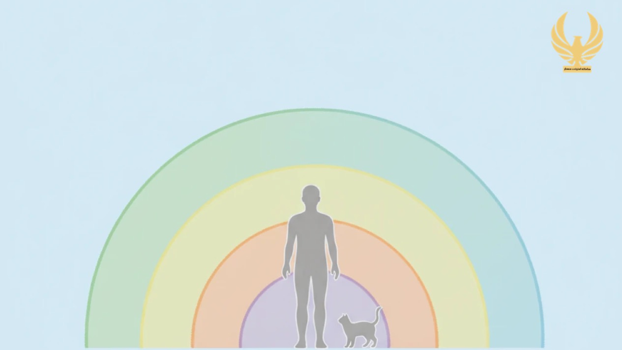 زون های سنسور وزنی حرارتی